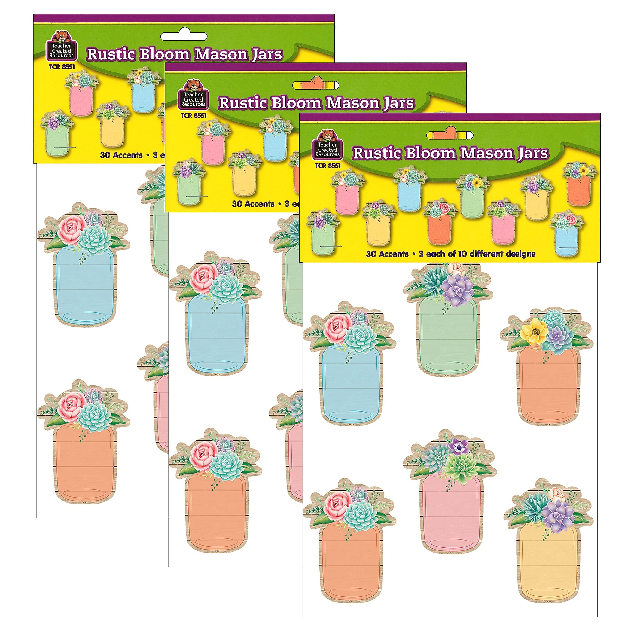 Teacher Created Resources Rustic Bloom Mason Jars Accents, 30 Per Pack, 3 Packs (TCR8551-3)