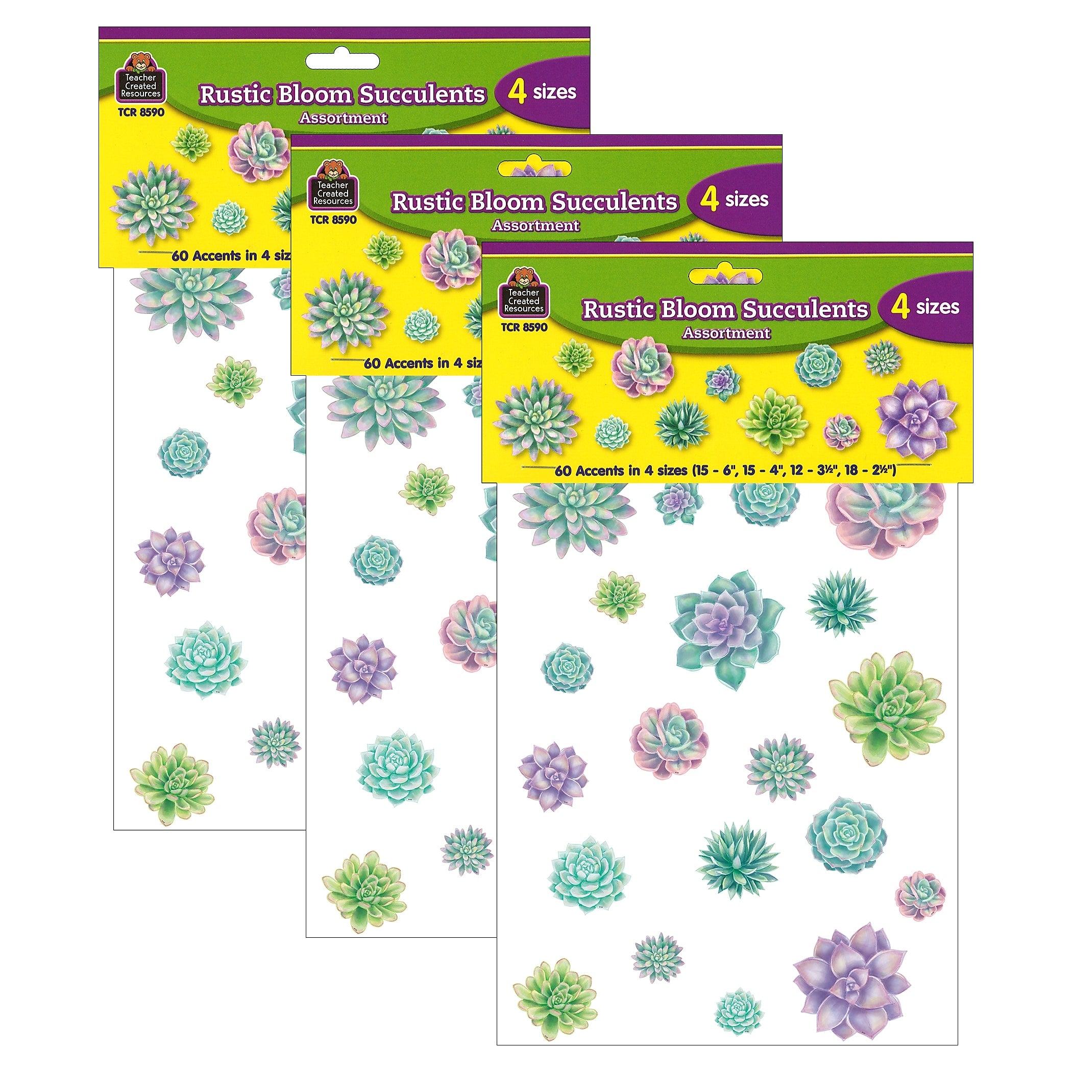 Teacher Created Resources Rustic Bloom Succulents Accents, Assorted Sizes, 60 Per Pack, 3 Packs (TCR8590-3)