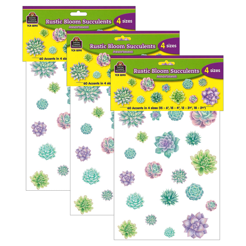 Teacher Created Resources Rustic Bloom Succulents Accents, Assorted Sizes, 60 Per Pack, 3 Packs (TCR8590-3)