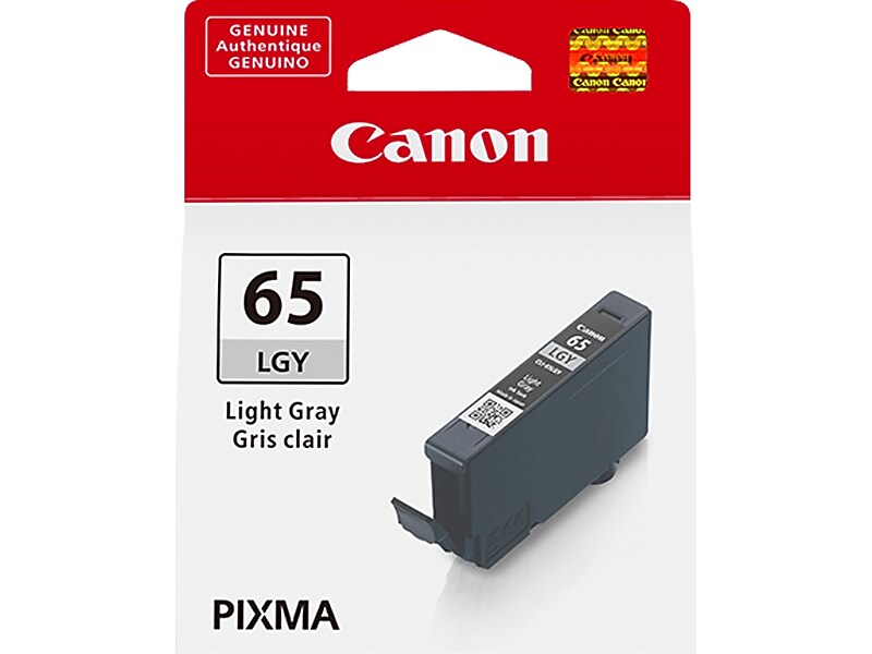 Canon 65 LGY Light Gray Standard Yield Ink Cartridge (4222C002)