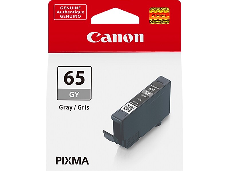 Canon 65 GY Gray Standard Yield Ink Cartridge (4219C002)