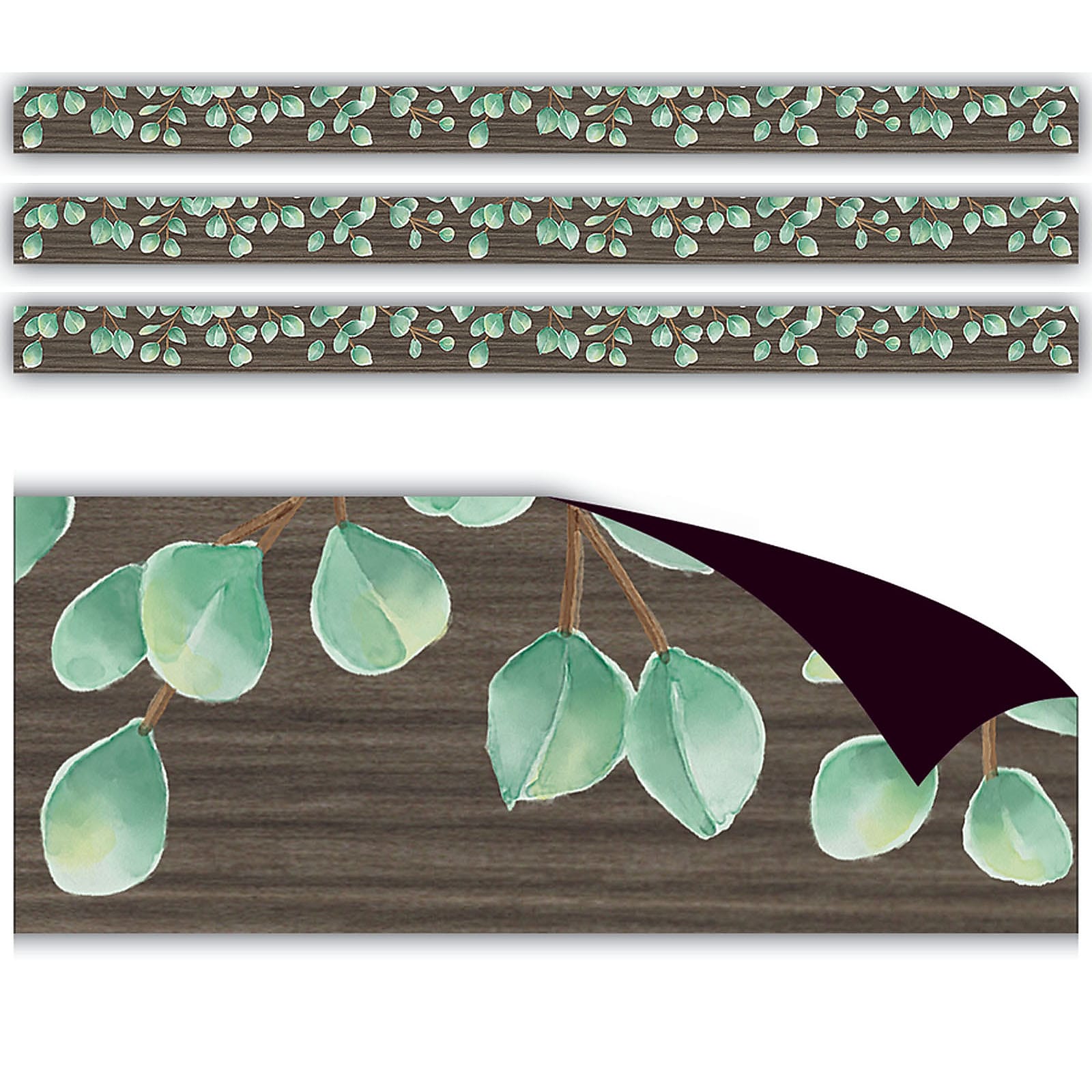 Teacher Created Resources Eucalyptus Magnetic Border, 24 Feet Per Pack, 3 Packs (TCR77482-3)