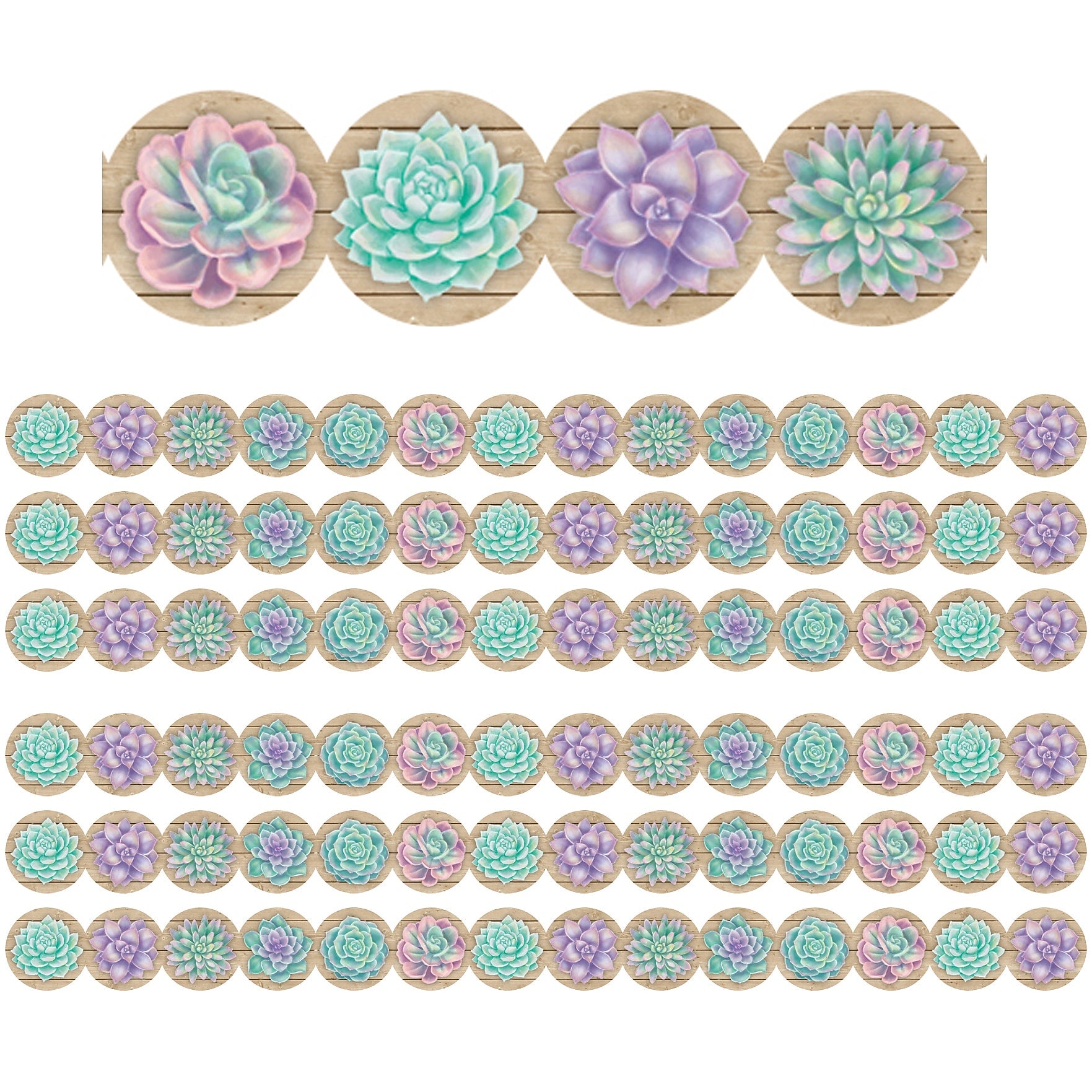 Teacher Created Resources Rustic Bloom Die-Cut Border, 2.75" x 210', Succulents (TCR8591-6)