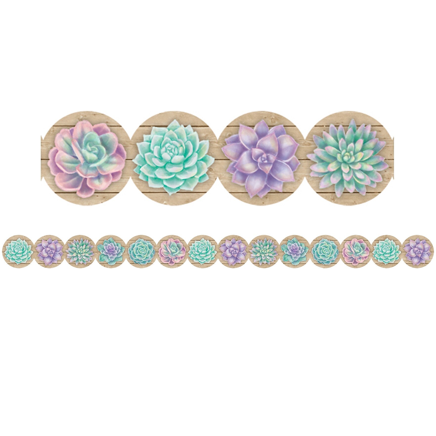 Teacher Created Resources Rustic Bloom Die-Cut Border, 2.75" x 210', Succulents (TCR8591-6)