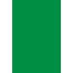 Spectra Deluxe Bleeding Art Tissue, Apple Green, 20" x 30", 24 Sheets/Pack, 5 Packs (PAC59122-5)