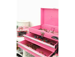 Apollo Tools 2-Drawer Chest Case, Pink (DT5010P)