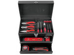 Apollo Tools 2-Drawer Chest Case, Black (DT5010)