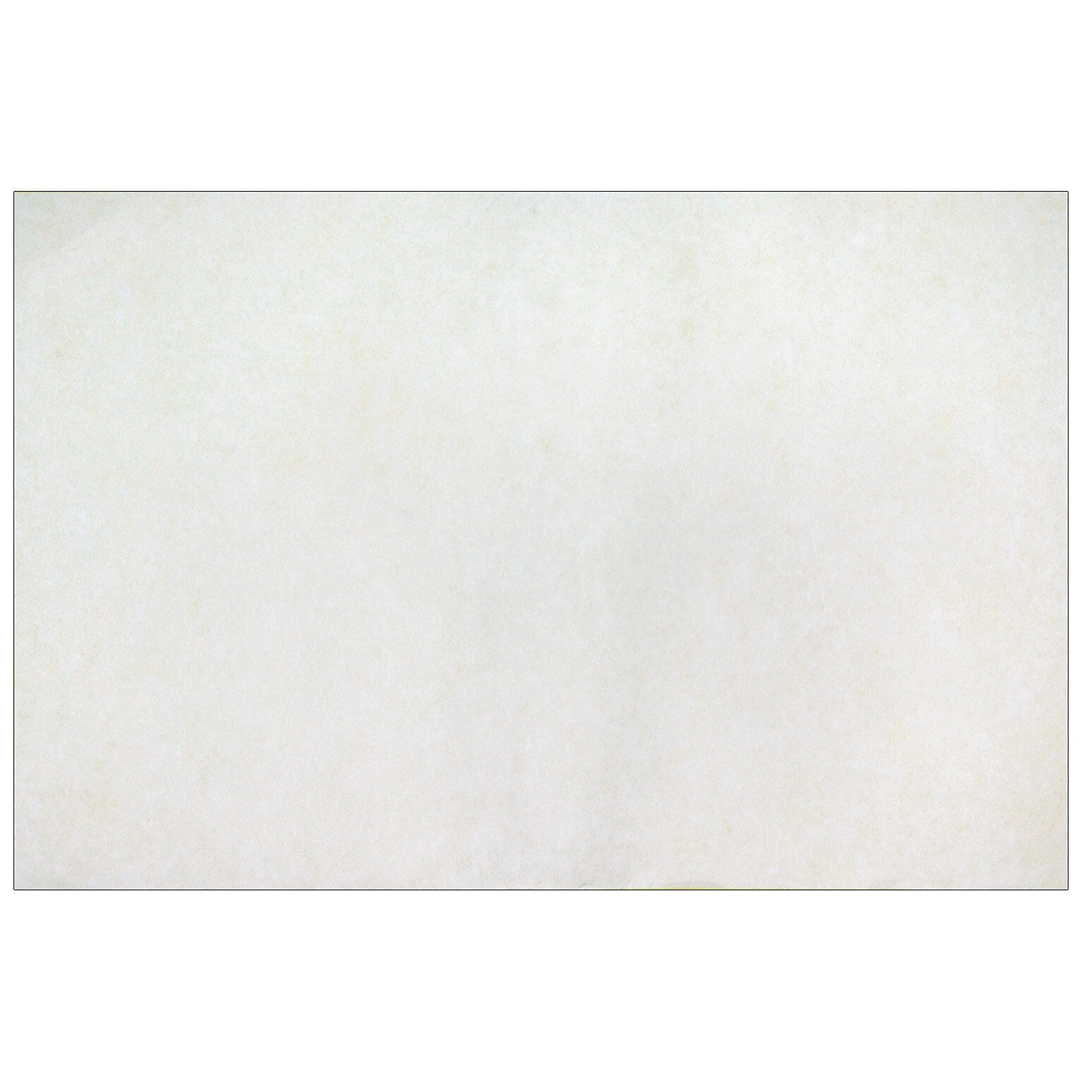 Roylco Color Diffusing Paper, 9" x 12", White, 50/Pack, 3 Packs/Bundle (R-15213-3)