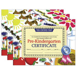 Hayes Publishing Pre-Kindergarten Certificate, 8.5" x 11", 30 Per Pack, 3 Packs (H-VA499-3)