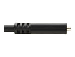 Tripp Lite 6' USB C Cable, Black (U421-006)