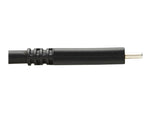 Tripp Lite 6' USB C Cable, Black (U421-006)