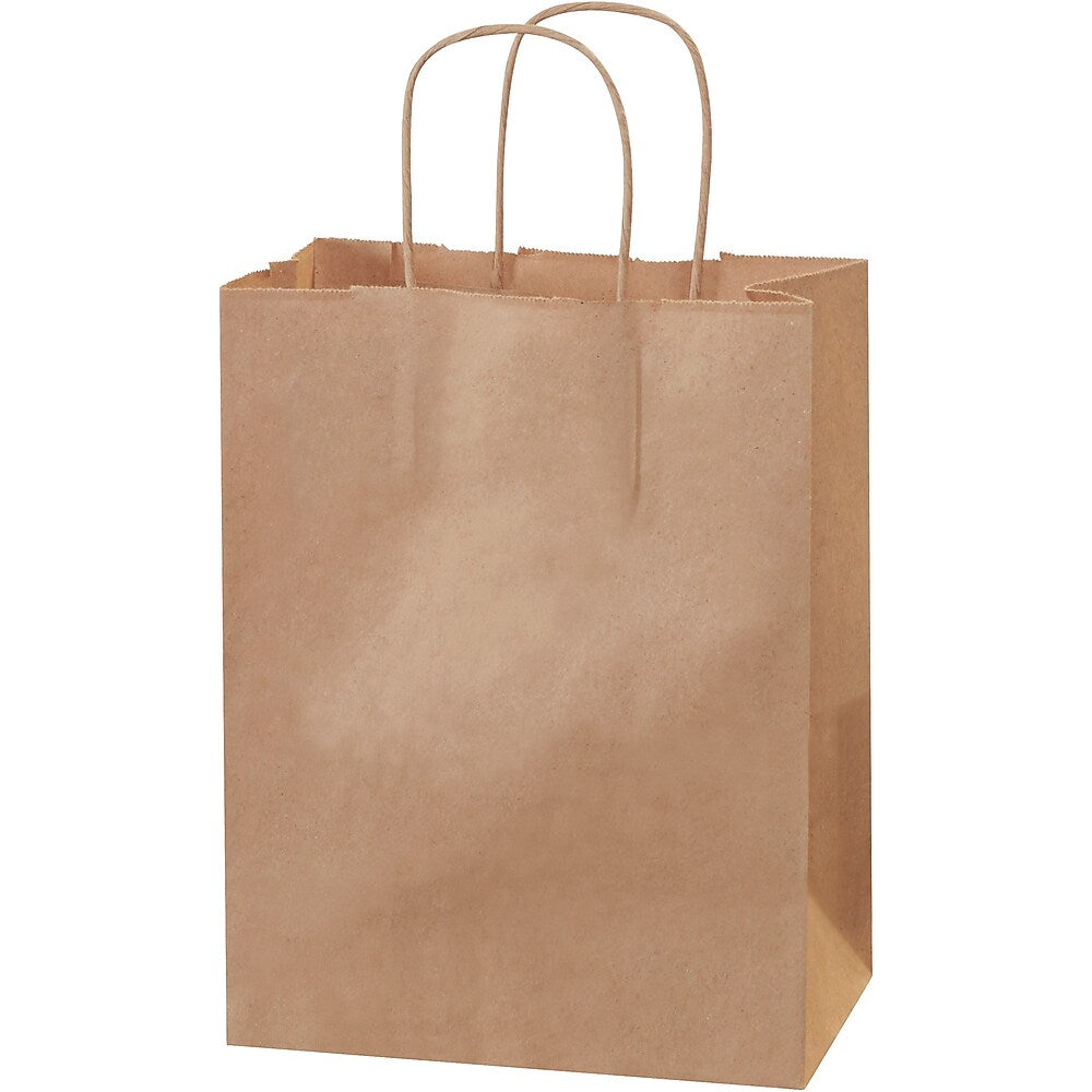 Staples® 10.25" x 4.5" Kraft Paper Shopping Bags, Kraft, 250/Carton (BGS103K)