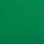 JAM Paper Wrapping Paper, 25 Sq. ft. x 30", Green, 2/Pack (165S25GRG)