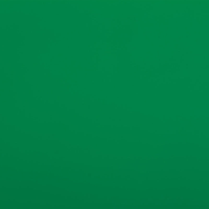 JAM Paper Wrapping Paper, 25 Sq. ft. x 30", Green, 2/Pack (165S25GRG)