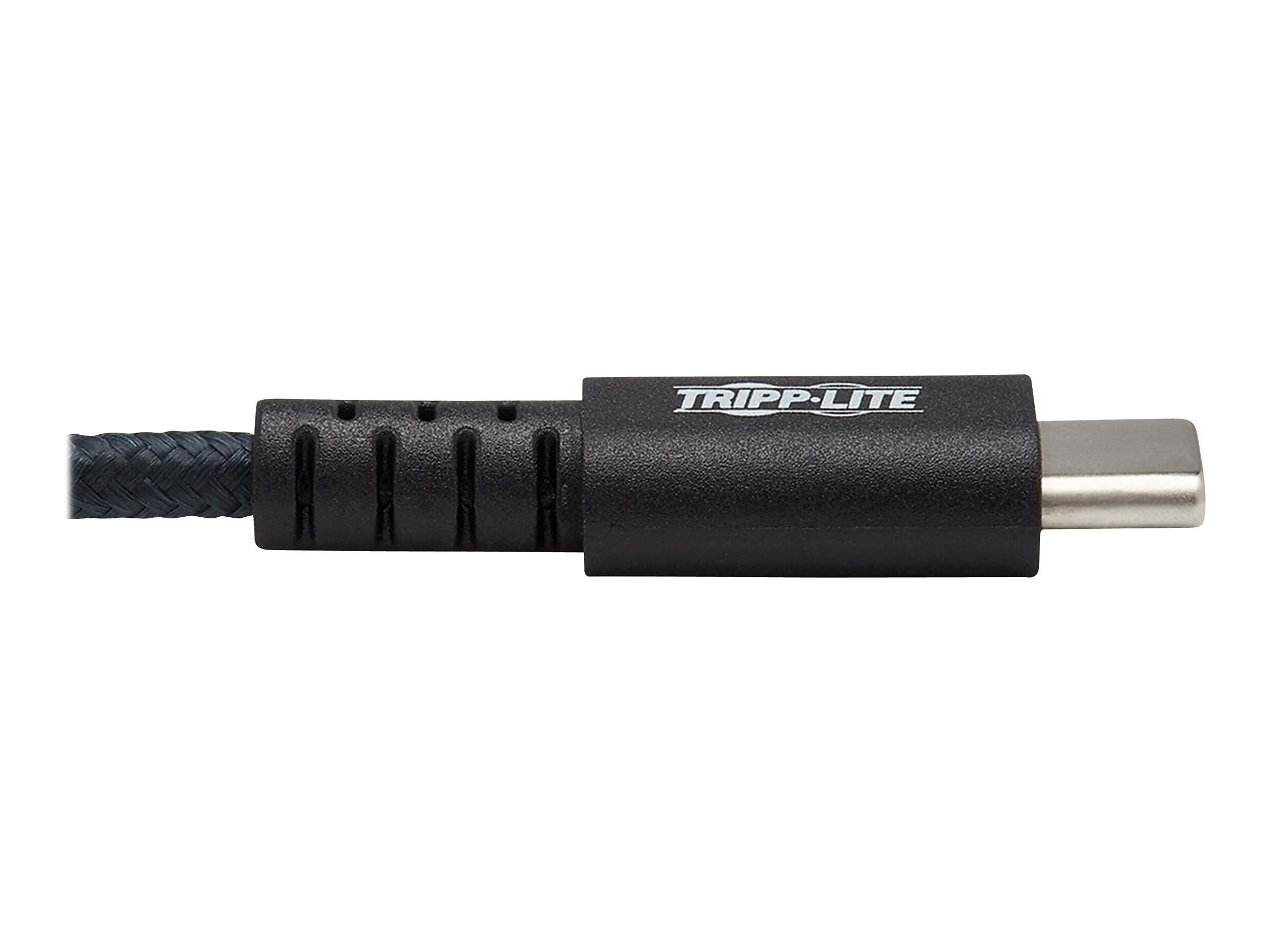 Tripp Lite 10' USB A to C Cable, Gray (U038-010-GY-MAX)