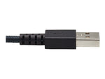 Tripp Lite 10' USB A to C Cable, Gray (U038-010-GY-MAX)