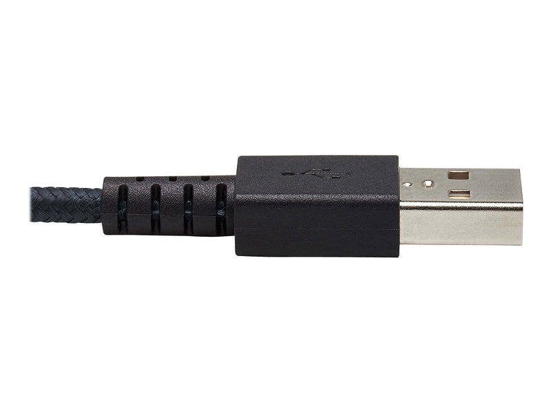 Tripp Lite 10' USB A to C Cable, Gray (U038-010-GY-MAX)