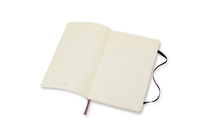Moleskine Professional Notebooks, 5" x 8.25", College Ruled, 96 Sheets, Black (707162)