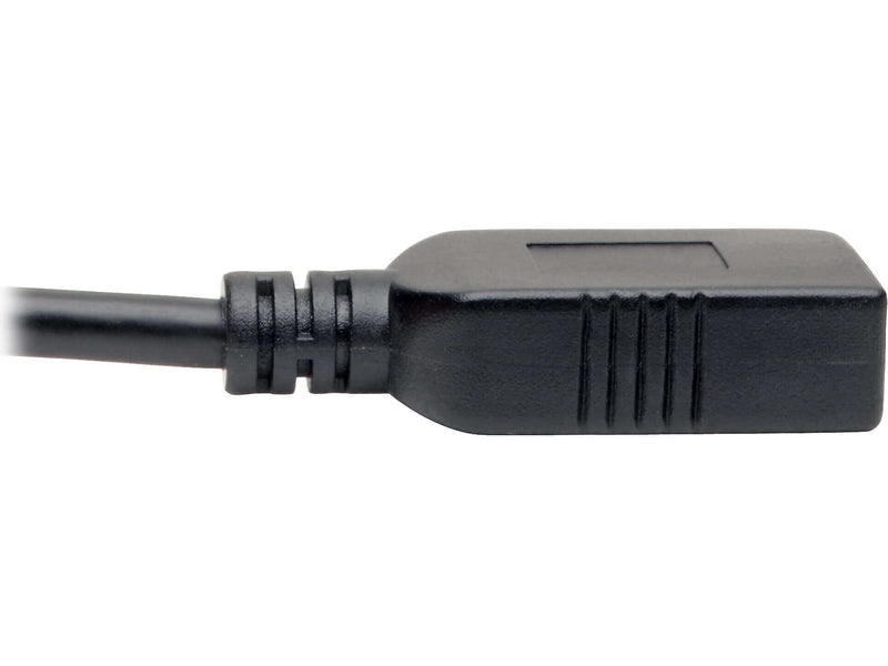 Tripp Lite USB C to USB C Adapter Cable, Male to Female, Black (U428-C6N-F)