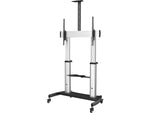 StarTech Steel Pedestal TV Stand, Screens up to 100", Black/Silver (STNDMTV100)
