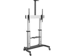 StarTech Steel Pedestal TV Stand, Screens up to 100", Black/Silver (STNDMTV100)