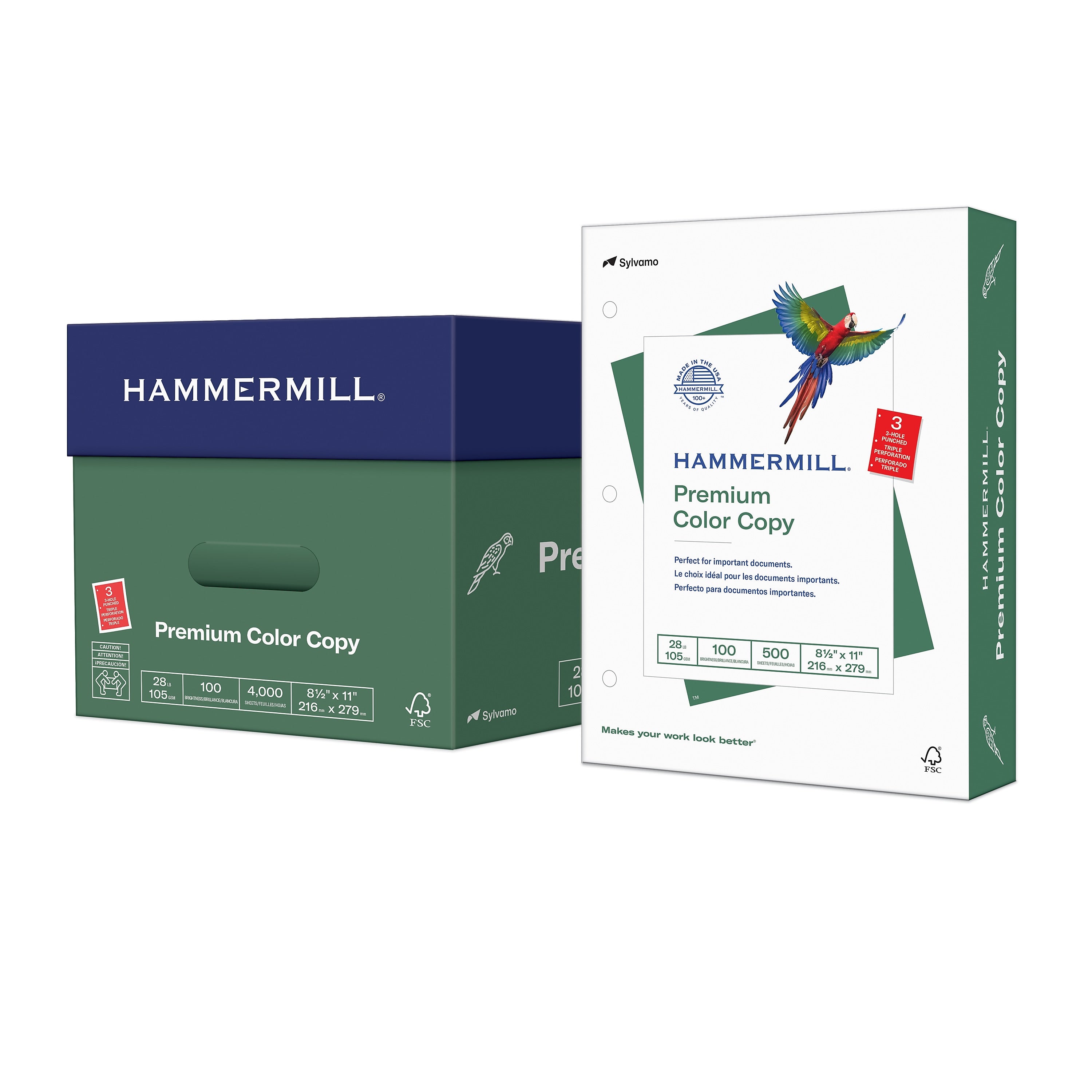 Hammermill Premium 8.5" x 11" 3-Hole Punched Color Copy Paper, 28 lbs., 100 Brightness, 500 Sheets/Ream, 8 Reams/Carton (102500)