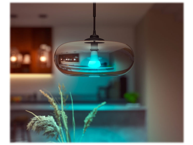 Philips Hue White Light Bulb, A21 16 Million Colors 16W E26 (562982)