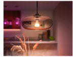 Philips Hue White Light Bulb, A21 16 Million Colors 16W E26 (562982)