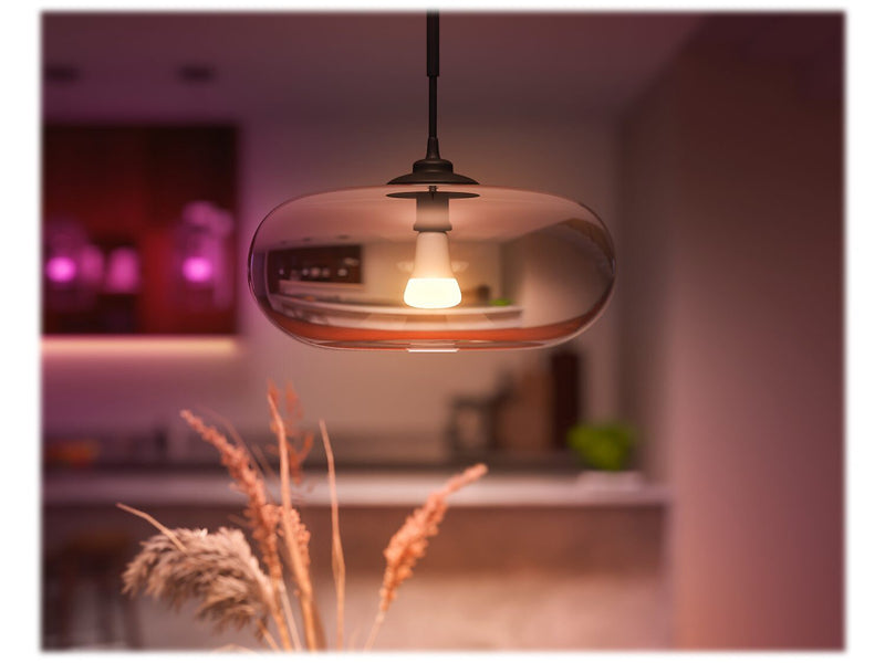 Philips Hue White Light Bulb, A21 16 Million Colors 16W E26 (562982)