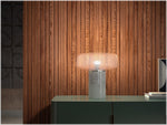 Philips Hue White Light Bulb, A19 2700K 10.5W E26, 2/Pack (563007)