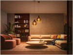 Philips Hue White Starter Kit, A19 2200K-6500K 10.5W E26 (563270)