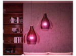 Philips Hue White Starter Kit, A19 16 Million Colors 10.5W E26 (563296)