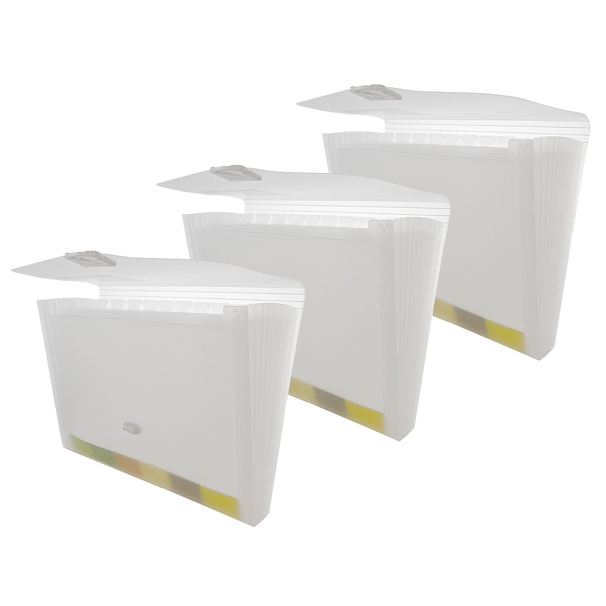 Bazic Heavy Duty Plastic Accordion File, 13 Pocket, Letter Size, Translucent White, 3/Bundle (BAZ3173-3)