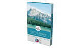 EarthChoice 11" x 17" Multipurpose Paper, 20 lbs., 92 Brightness, 500 Sheets/Ream, 5 Reams/Carton (2703/40480)