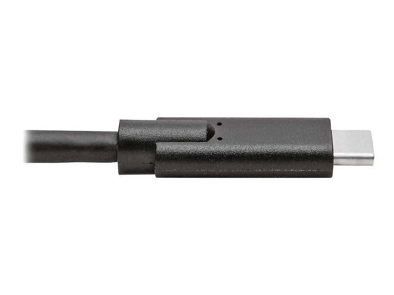 Tripp Lite 10' USB C Cable, Black (U420-010)