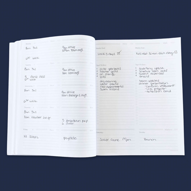 Undated Kahootie Co. 8" x 10" Planner, It's That Kinda Day, Teal Mini Stripes (ITKHWTMS-H)