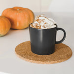 Better Houseware Cork Coasters, Tan (1390)