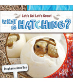 Discovery Library Jr Let’s Go! Let’s Grow! Paperback Reader What Is Hatching? 9781731652218