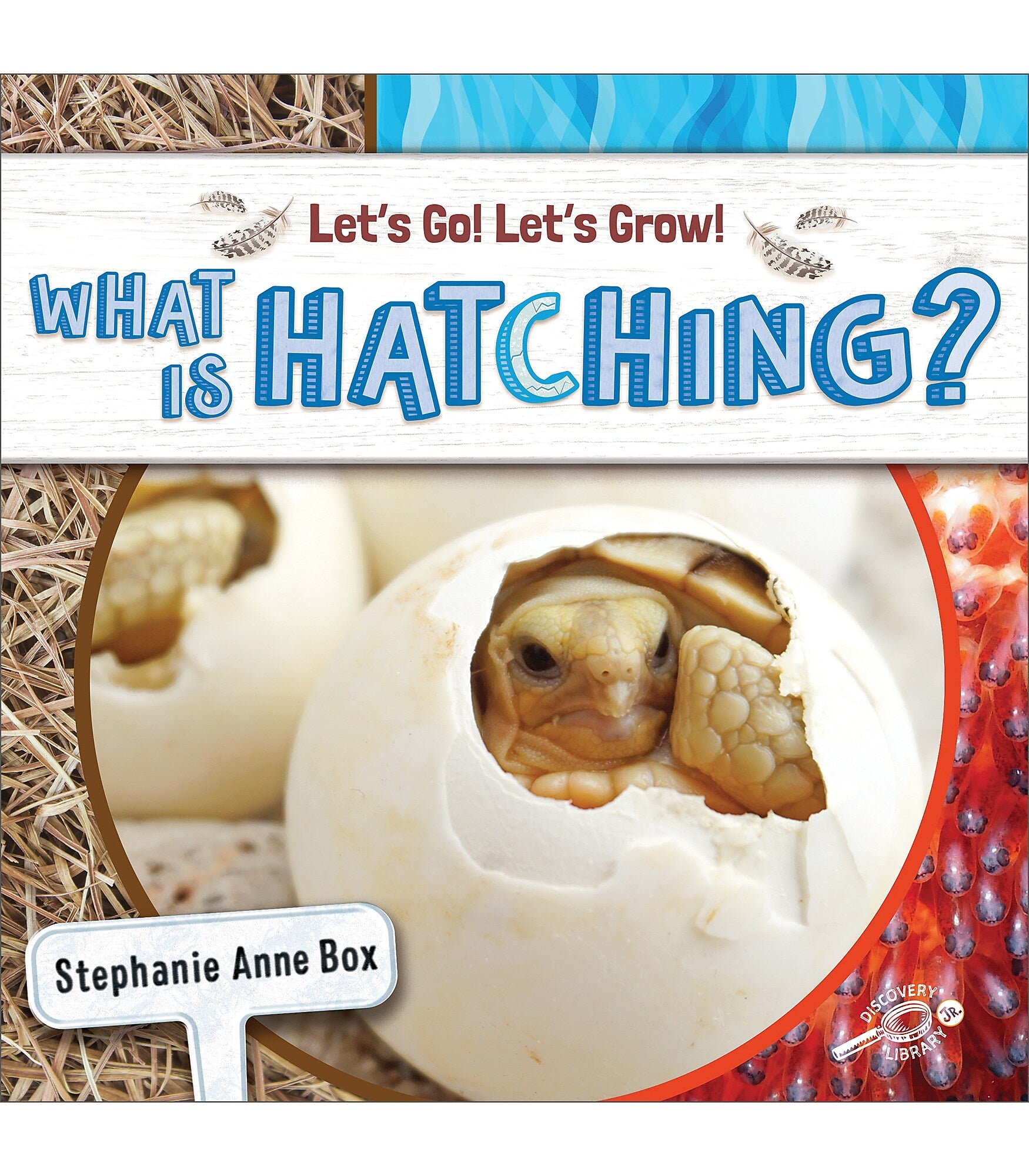 Discovery Library Jr Let’s Go! Let’s Grow! Paperback Reader What Is Hatching? 9781731652218