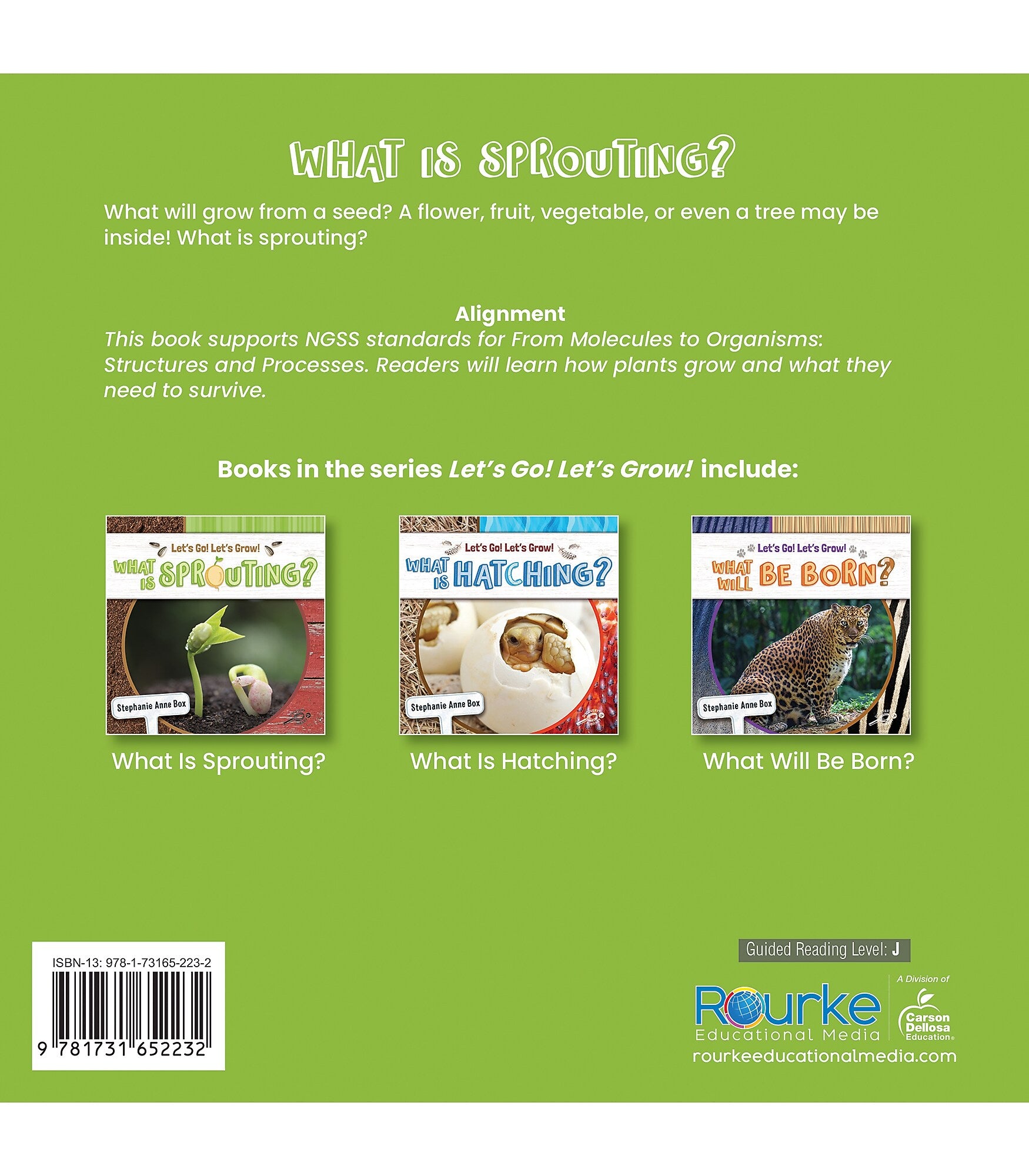 Discovery Library Jr Let’s Go! Let’s Grow! Paperback Reader What Is Sprouting? 9781731652232
