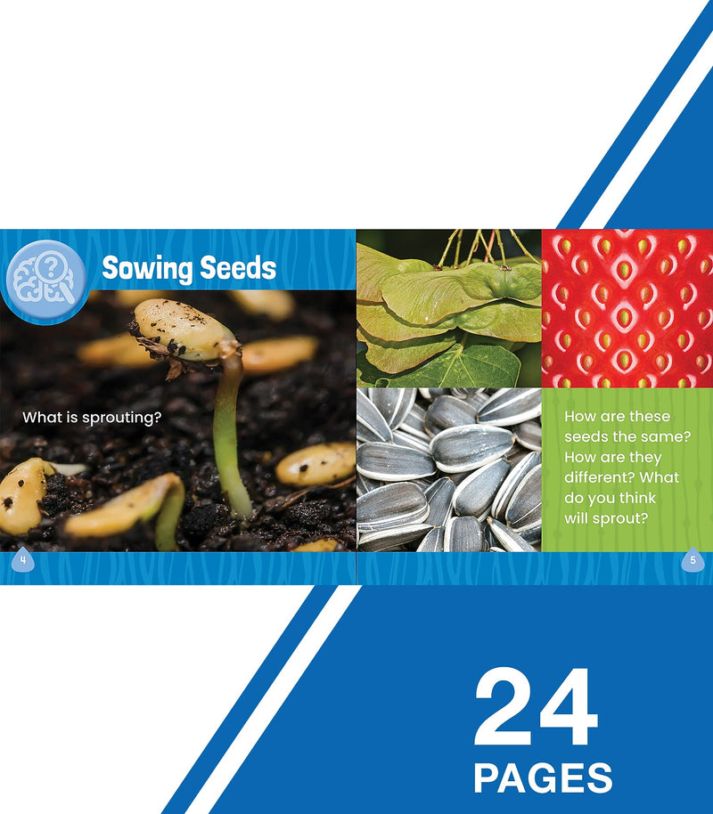 Discovery Library Jr Let’s Go! Let’s Grow! Paperback Reader What Is Sprouting? 9781731652232