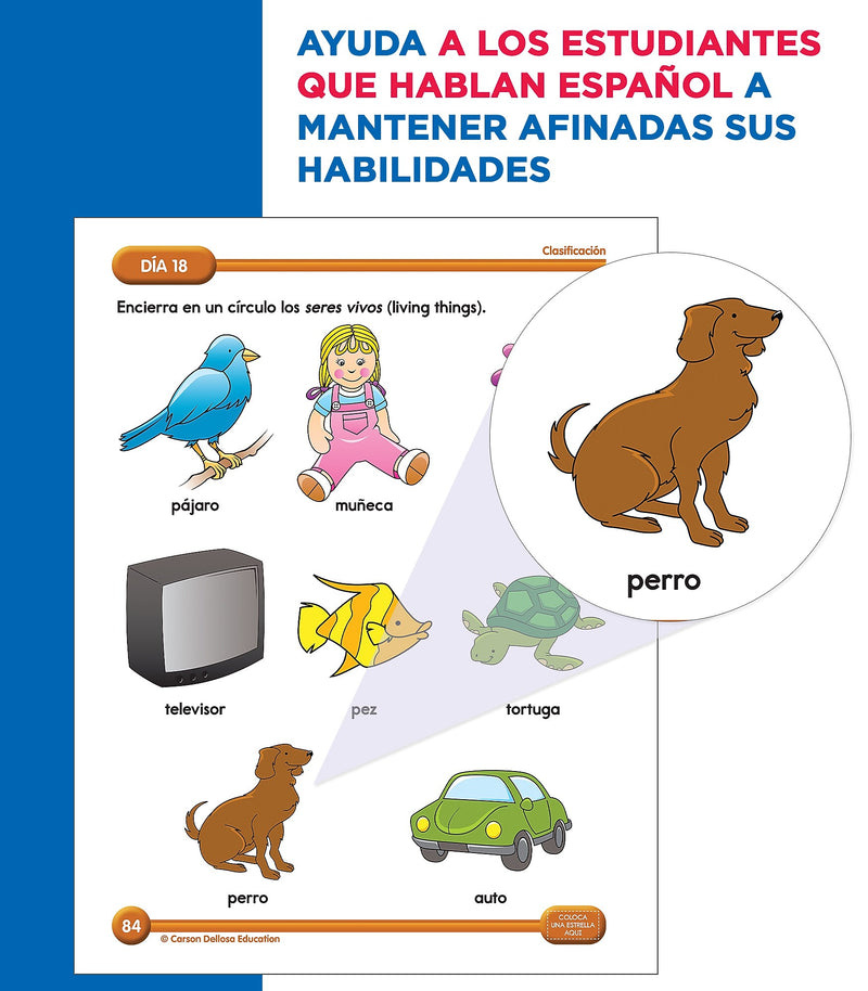 Summer Bridge Activities Summer Bridge Activities Paperback Workbook Summer Bridge Activities Spanish PreK-K (705432)