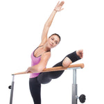 Gofit GoBarre Workout Set (GF-BBAR)