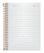 Ampad 1-Subject Professional Notebooks, 5" x 7", College Ruled, 100 Sheets, Gray/Silver (20-803R)