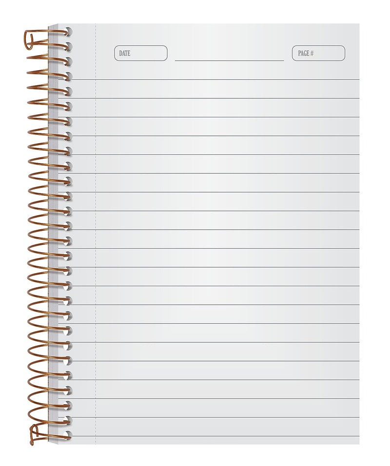 Ampad 1-Subject Professional Notebooks, 5" x 7", College Ruled, 100 Sheets, Gray/Silver (20-803R)