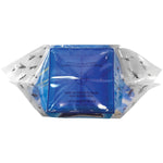 Raid Fly Trap for Flies (FLYBAG-RAID)