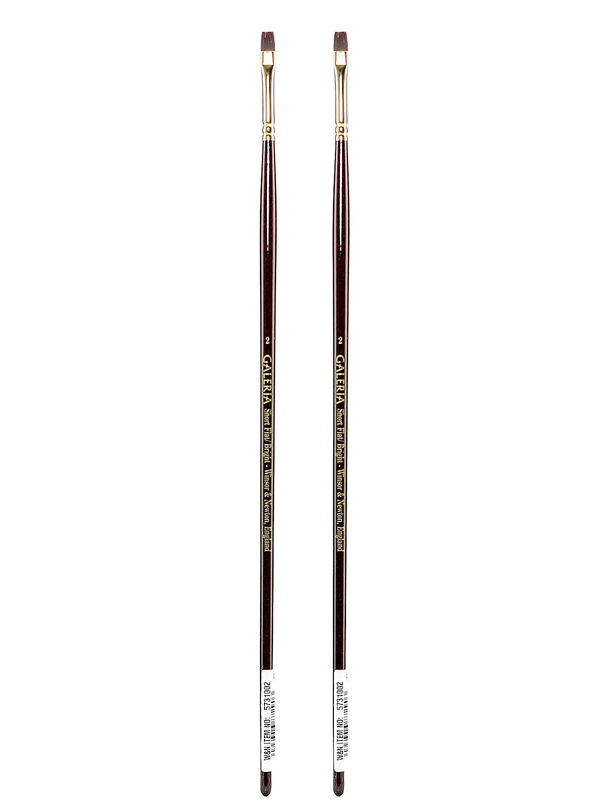 Winsor and Newton Galeria Long Handled Brushes 2 flat/bright [Pack of 2] (PK2-5731002)