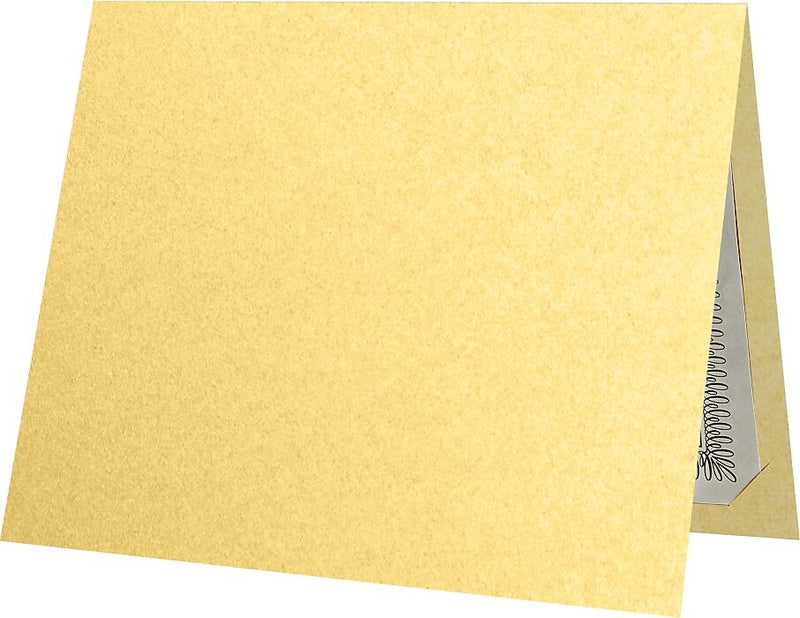LUX Certificate Holders, 9 1/2" x 11", Gold Metallic, 50/Pack (CH91212-M07-50)