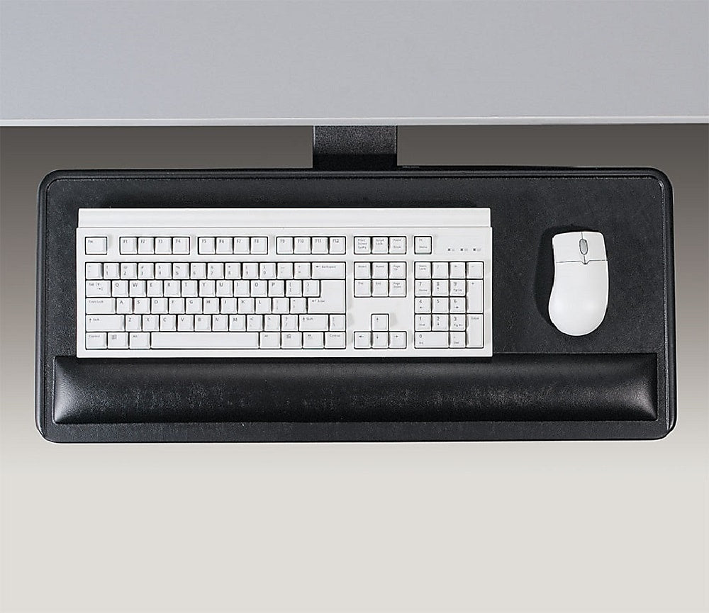 Ergonomic Concepts Articulating Keyboard Platform Economy Mechanism Adjustable Tray, Black (ECI-910-SPL)