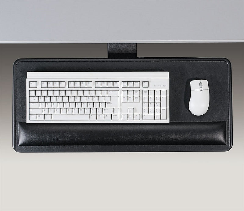Ergonomic Concepts Articulating Keyboard Platform Economy Mechanism Adjustable Tray, Black (ECI-910-SPL)